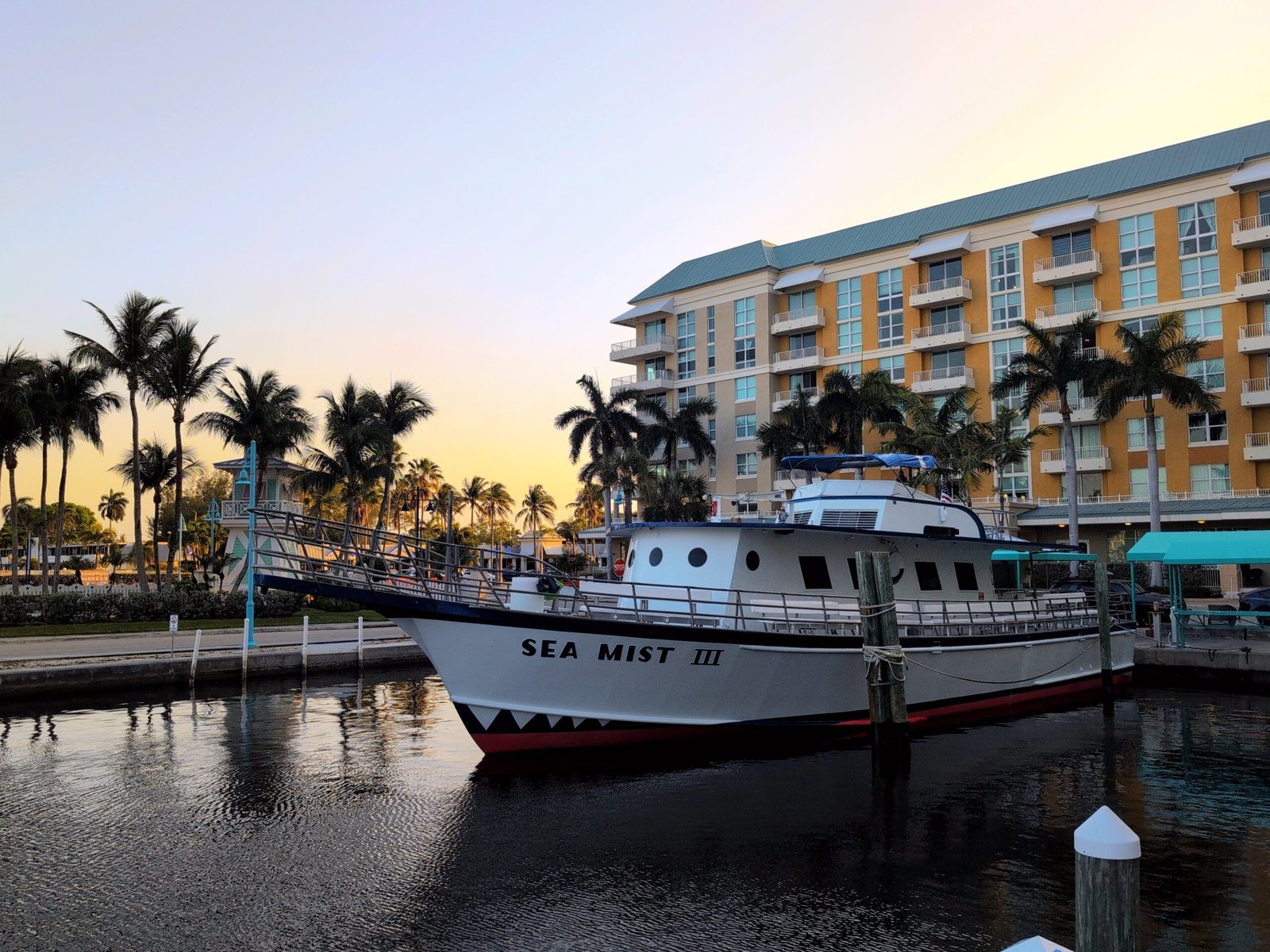 sea mist 111